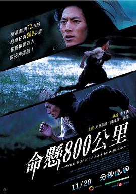 命悬800公里海报