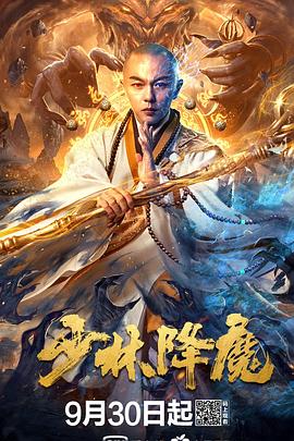 少林降魔海报