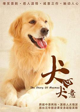 犬心犬意海报