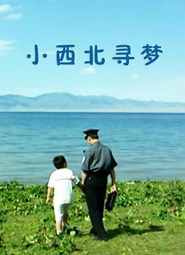 小西北寻梦海报