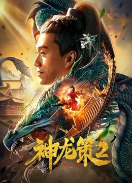 神龙策2海报