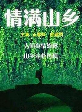 情满山乡海报