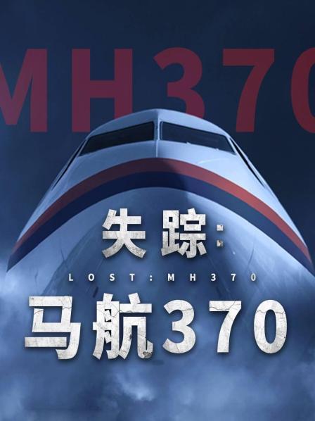 失踪：马航370海报