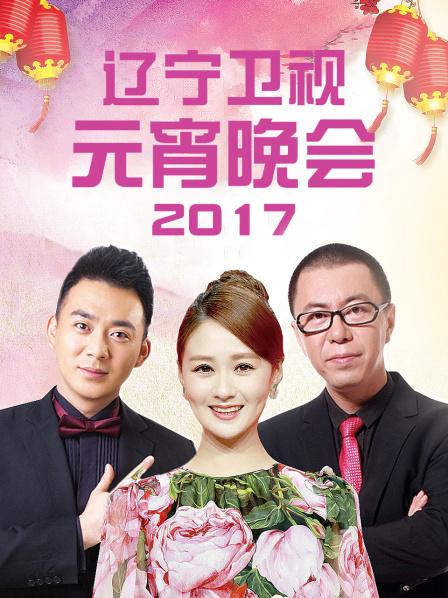 辽宁卫视元宵晚会 2017海报