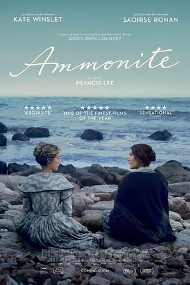 菊石 Ammonite海报