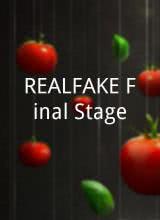 REAL FAKE Final Stage海报