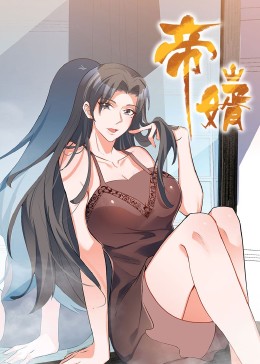 帝婿海报