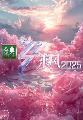 乘风2025海报